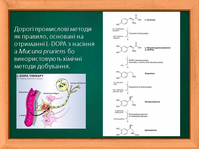 Дорогі промислові методи як правило, основані на отриманні L-DOPA з насіння а Mucuna pruriens
